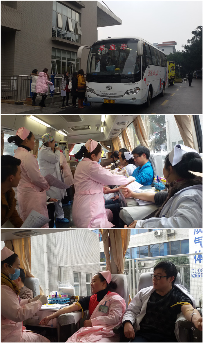 乐山启动“天使爱心血库”.jpg